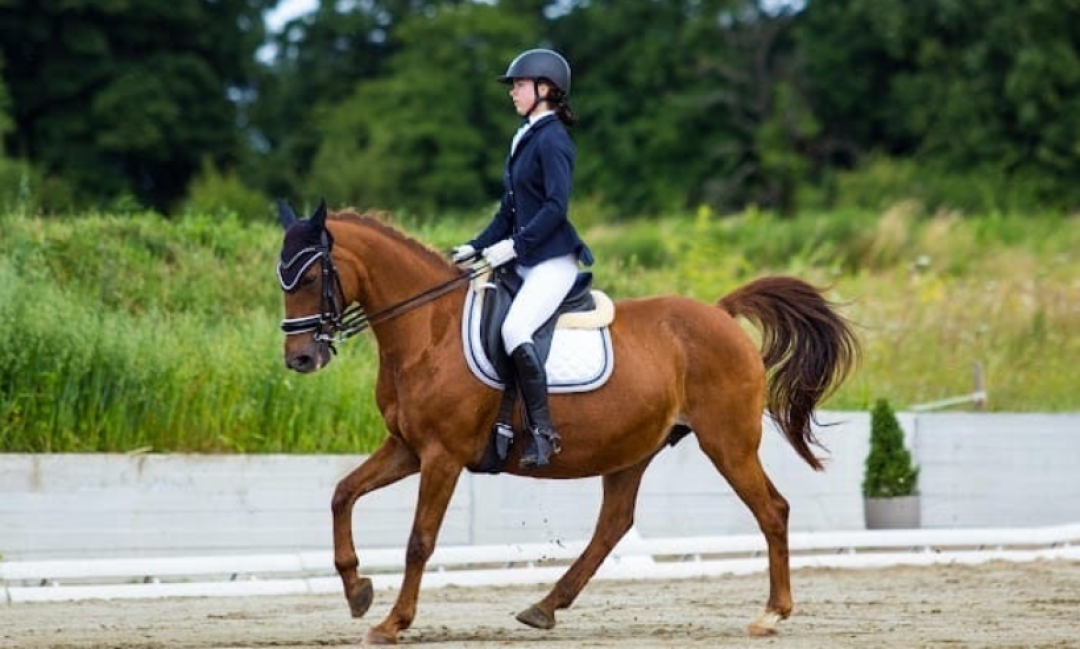 Приглашаем в гости в наш центр