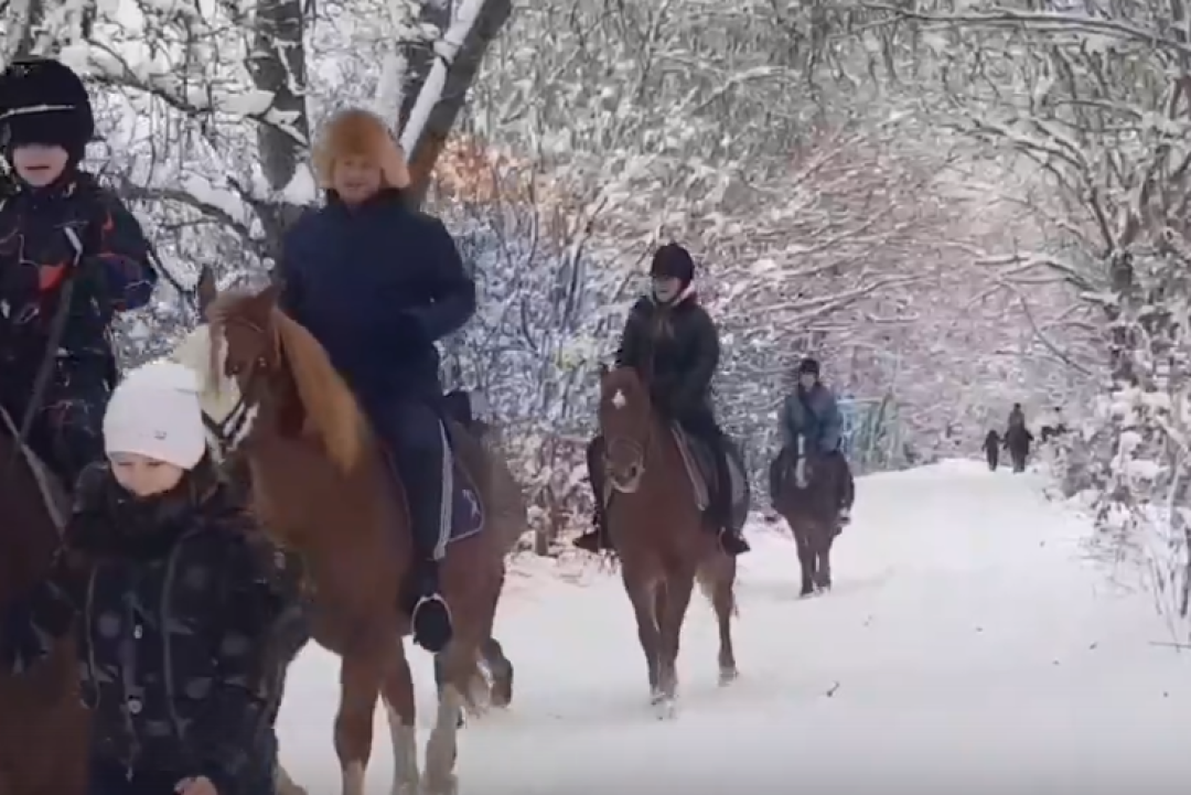 Балтийские музыканты