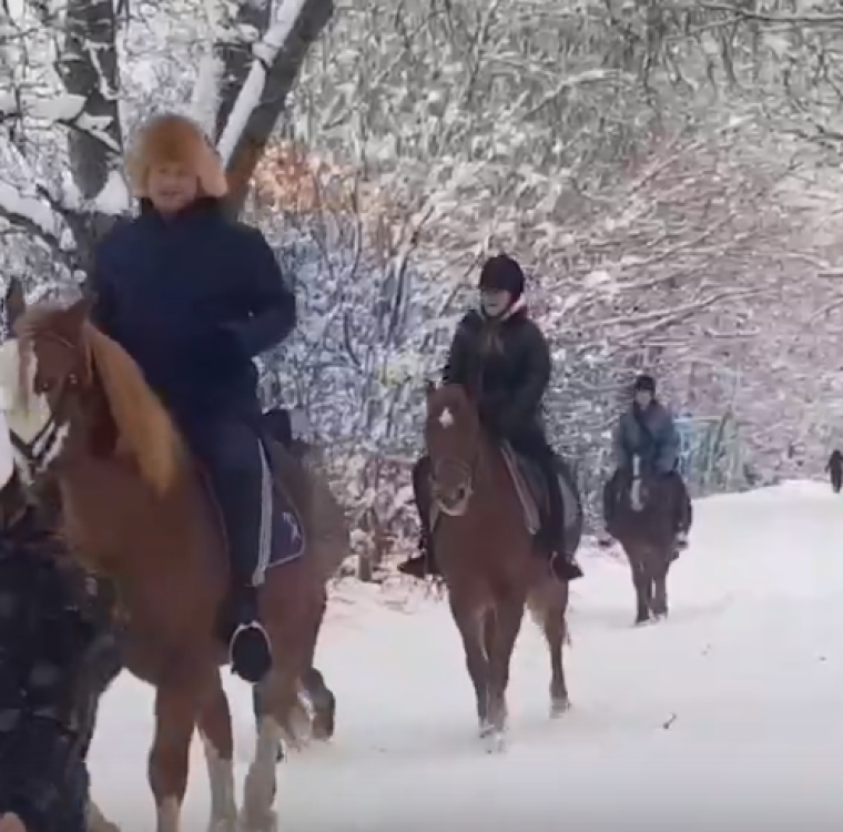 Балтийские музыканты